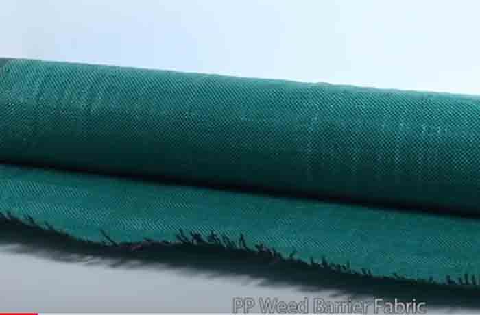 Zehao Weed PP Barrier Fabric